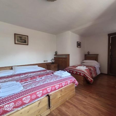 Bed and Breakfast La Favorita à Lozzo Cadore Extérieur photo