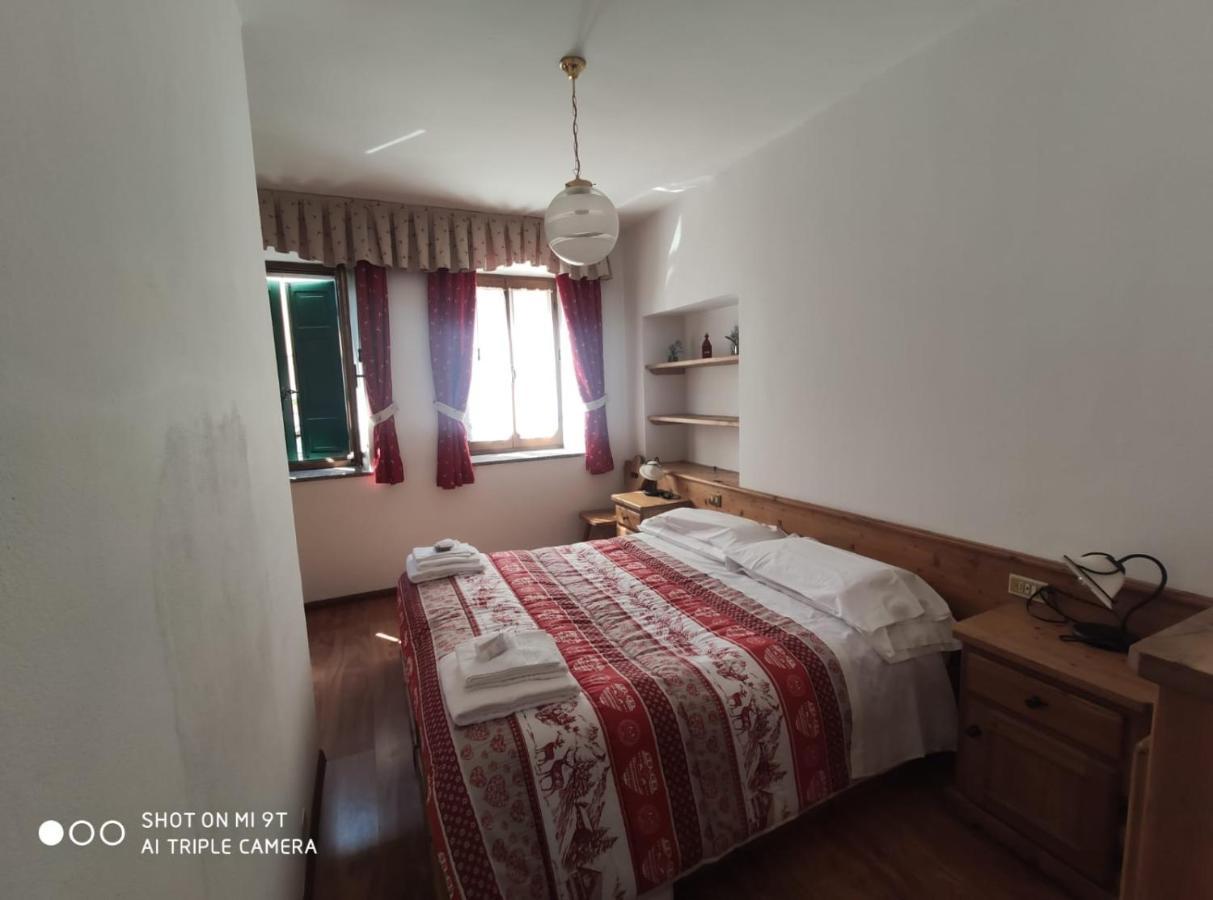 Bed and Breakfast La Favorita à Lozzo Cadore Extérieur photo