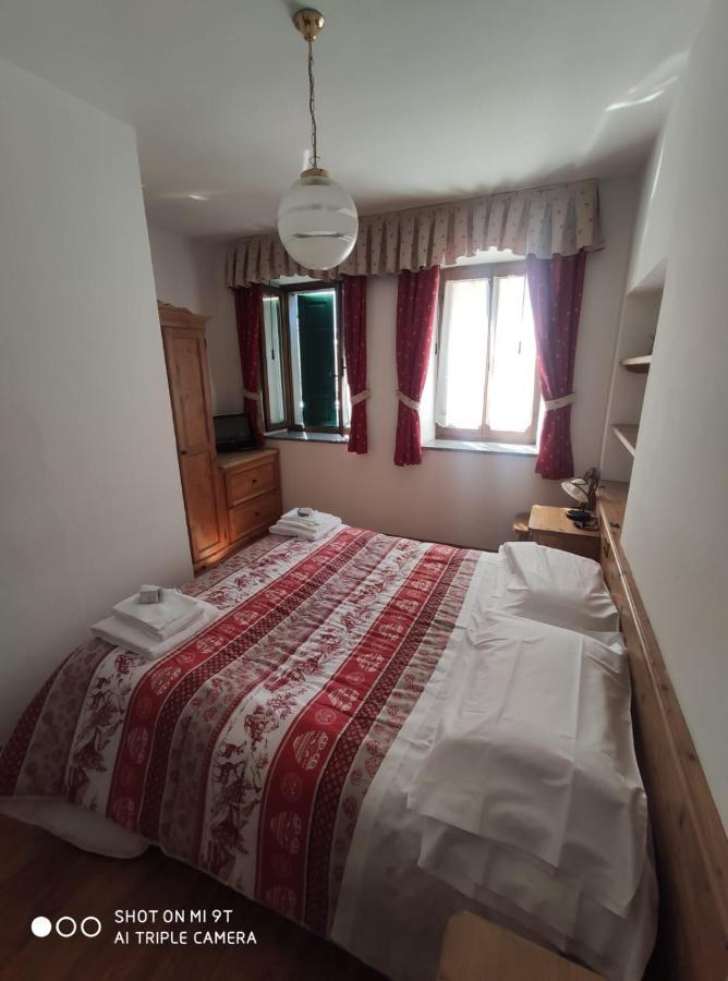 Bed and Breakfast La Favorita à Lozzo Cadore Extérieur photo